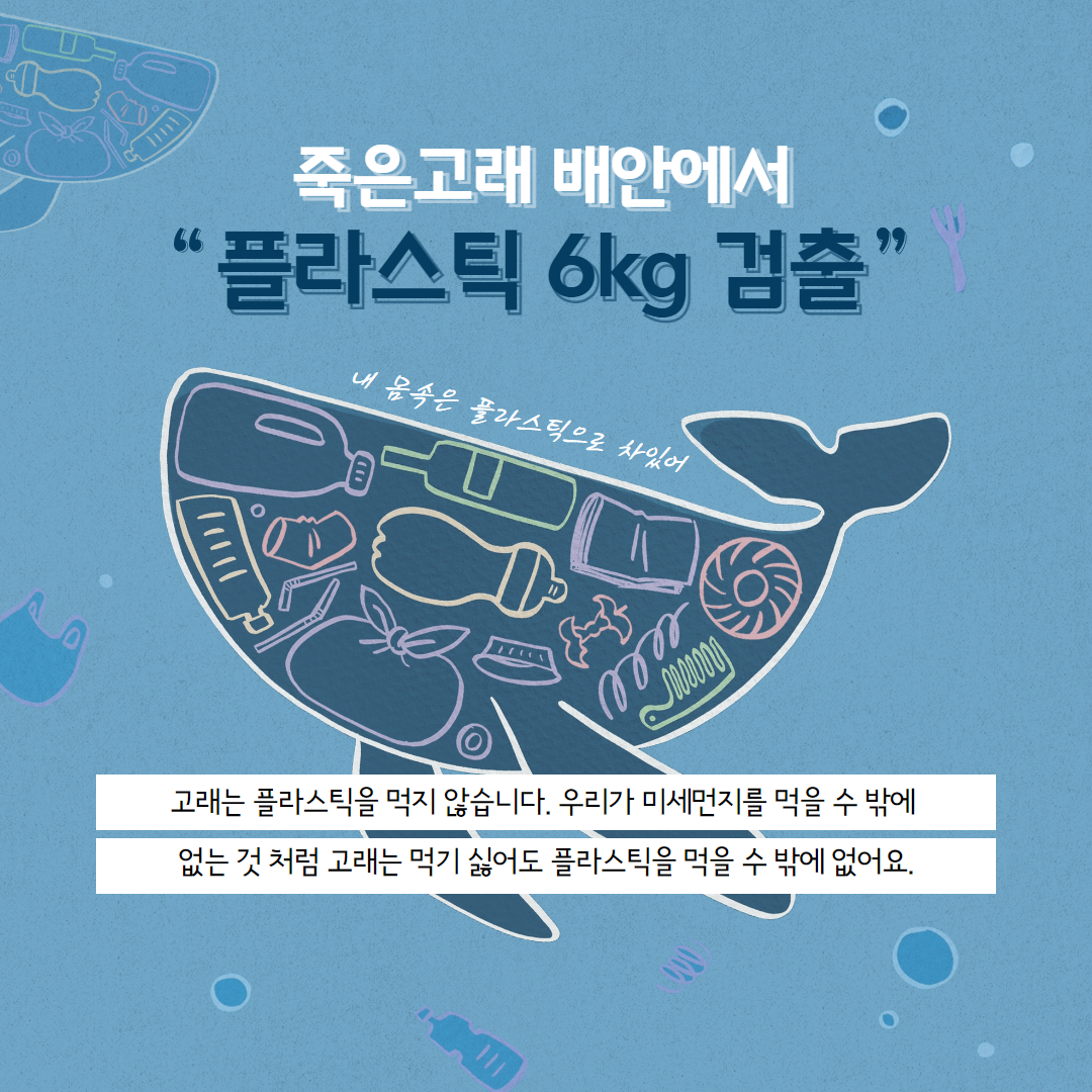 죽은고래 배안에서 플라스틱 6kg 검출, 고래는 플라스틱을 먹지 않습니다. 우리가 미세먼지를 먹을 수 밖에 없는 것 처럼 고래는 먹기 싫어도 플라스틱을 먹을 수 밖에 없어요.